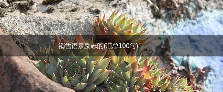 销售语录励志的(汇总100句),第1张