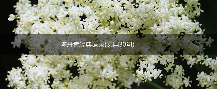 陈丹青经典语录(实用30句),第1张