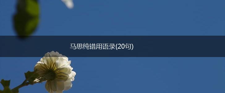 马思纯错用语录(20句),第1张