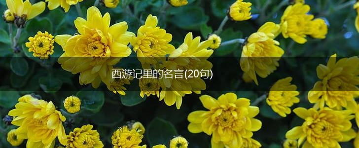 西游记里的名言(20句),第1张