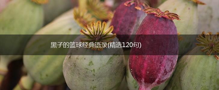 黑子的篮球经典语录(精选120句),第1张