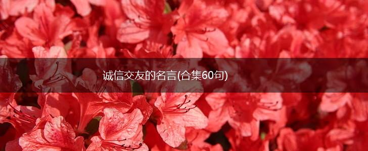 诚信交友的名言(合集60句),第1张 诚信交友的名言(合集60句),第1张