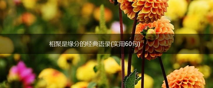 相聚是缘分的经典语录(实用60句),第1张