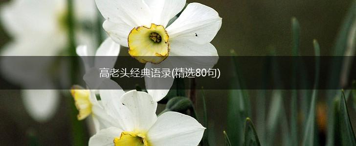 高老头经典语录(精选80句),第1张