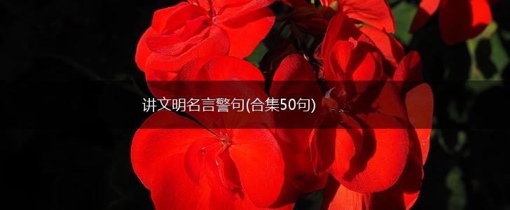 讲文明名言警句(合集50句),第1张