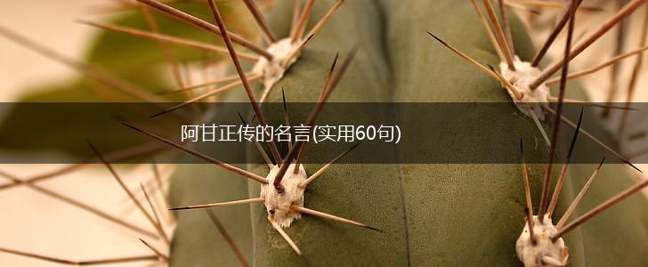 阿甘正传的名言(实用60句),第1张