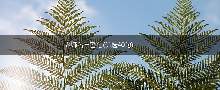老师名言警句(优选40句),第1张 老师名言警句(优选40句),第1张
