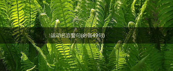 运动名言警句(必备49句),第1张 运动名言警句(必备49句),第1张