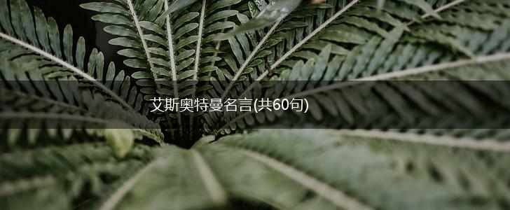 艾斯奥特曼名言(共60句),第1张
