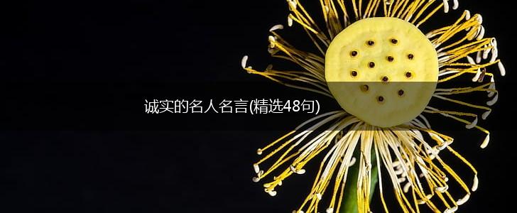 诚实的名人名言(精选48句),第1张