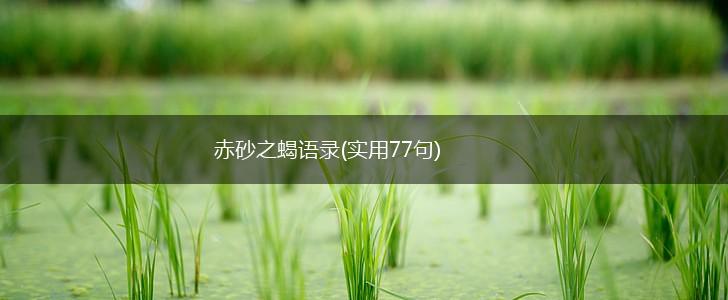 赤砂之蝎语录(实用77句),第1张
