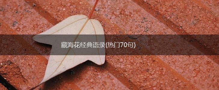 藏海花经典语录(热门70句),第1张