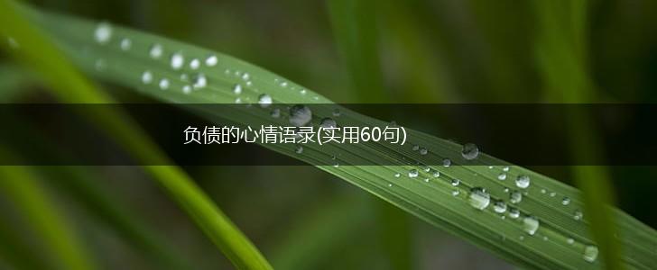 负债的心情语录(实用60句),第1张