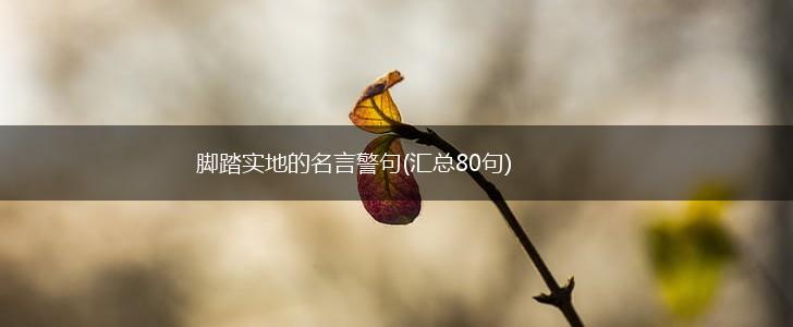 脚踏实地的名言警句(汇总80句),第1张 脚踏实地的名言警句(汇总80句),第1张