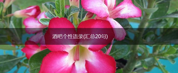酒吧个性语录(汇总20句),第1张