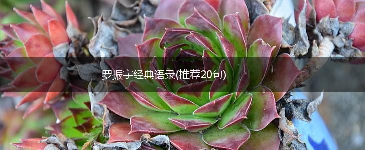 罗振宇经典语录(推荐20句),第1张
