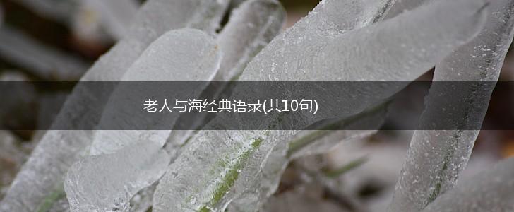 老人与海经典语录(共10句),第1张