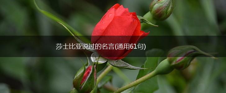 莎士比亚说过的名言(通用61句),第1张