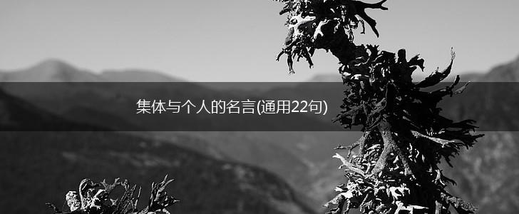 集体与个人的名言(通用22句),第1张