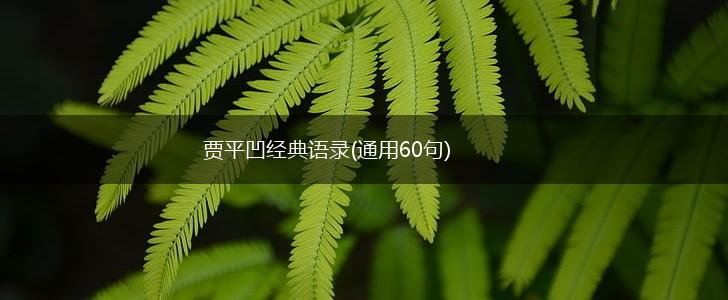贾平凹经典语录(通用60句),第1张