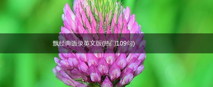飘经典语录英文版(热门109句),第1张