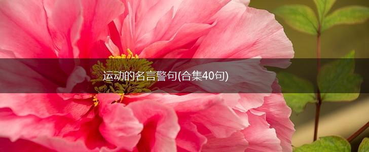 运动的名言警句(合集40句),第1张 运动的名言警句(合集40句),第1张
