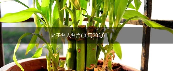 老子名人名言(实用20句),第1张