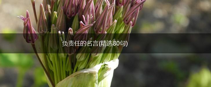 负责任的名言(精选80句),第1张