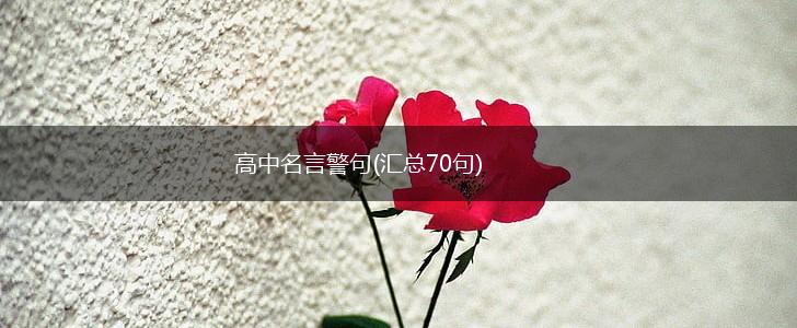 高中名言警句(汇总70句),第1张