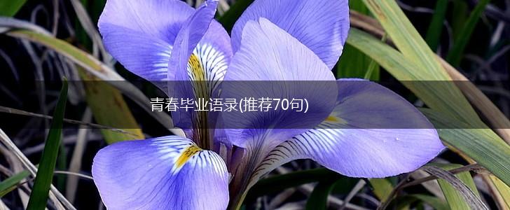 青春毕业语录(推荐70句),第1张