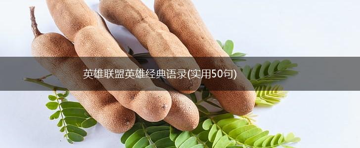 英雄联盟英雄经典语录(实用50句),第1张