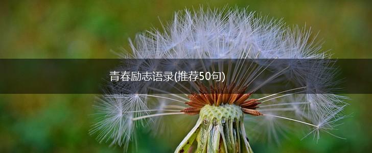青春励志语录(推荐50句),第1张