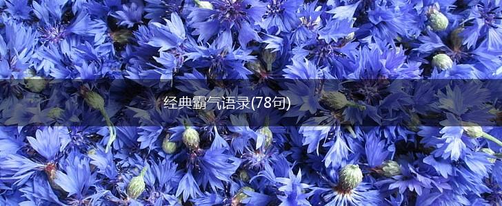 经典霸气语录(78句),第1张