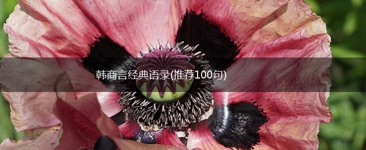 韩商言经典语录(推荐100句),第1张