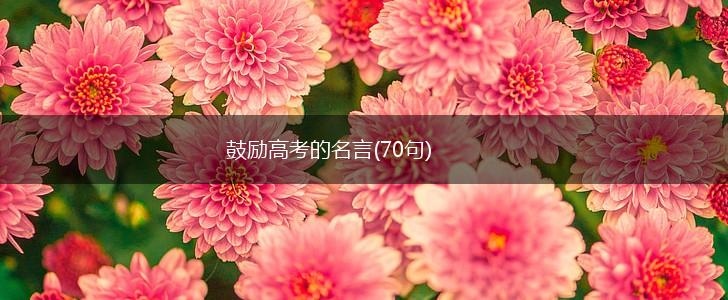 鼓励高考的名言(70句),第1张