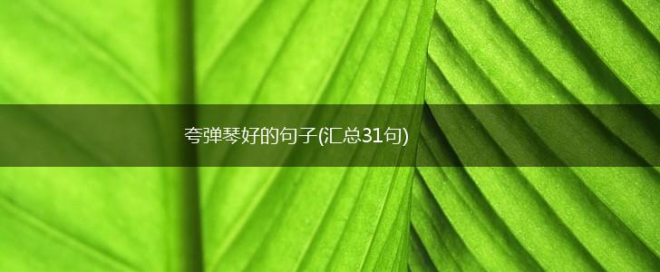 夸弹琴好的句子(汇总31句),第1张