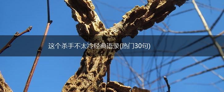 这个杀手不太冷经典语录(热门30句),第1张