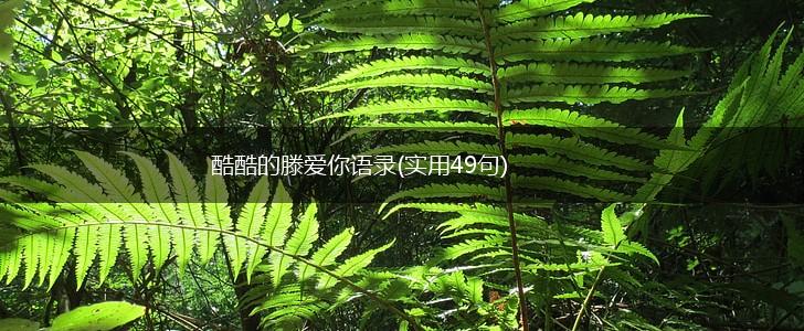 酷酷的滕爱你语录(实用49句),第1张