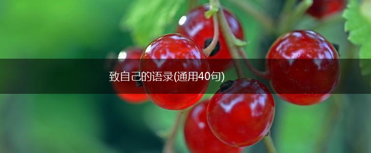 致自己的语录(通用40句),第1张