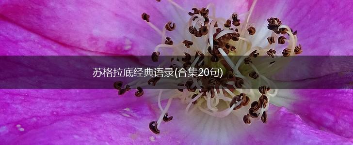 苏格拉底经典语录(合集20句),第1张