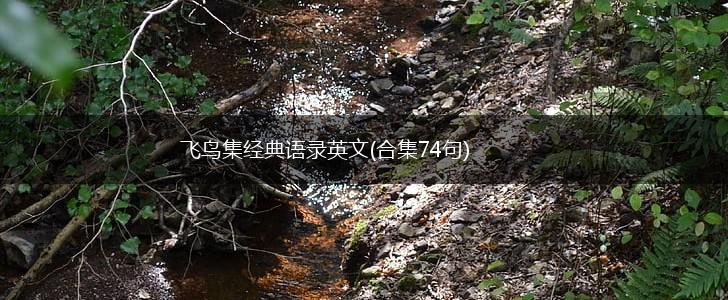 飞鸟集经典语录英文(合集74句),第1张
