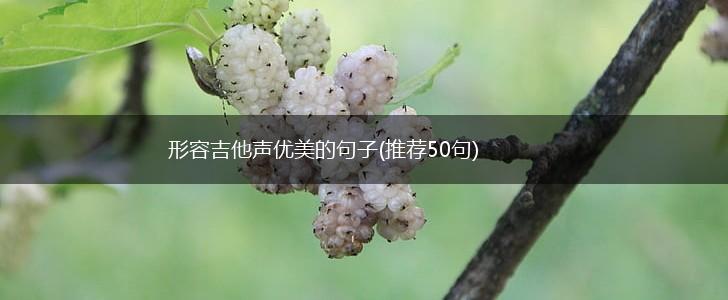 形容吉他声优美的句子(推荐50句),第1张