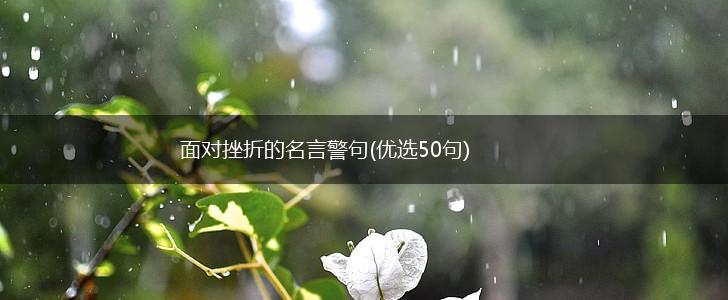 面对挫折的名言警句(优选50句),第1张