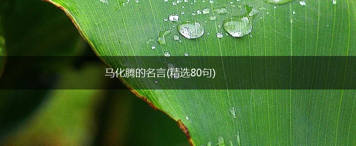 马化腾的名言(精选80句),第1张