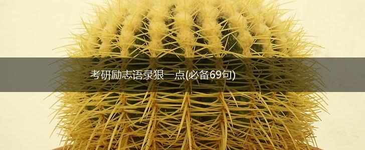 考研励志语录狠一点(必备69句),第1张