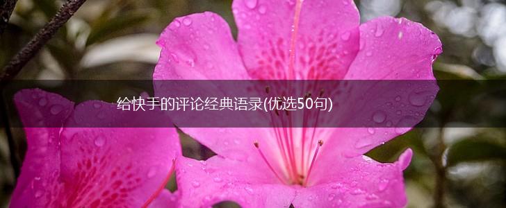 给快手的评论经典语录(优选50句),第1张