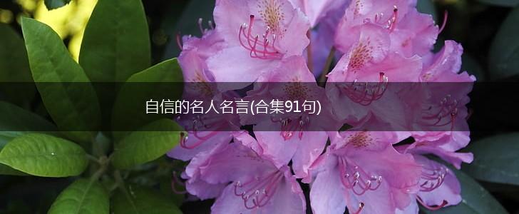 自信的名人名言(合集91句),第1张 自信的名人名言(合集91句),第1张