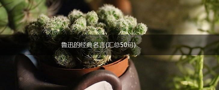 鲁迅的经典名言(汇总50句),第1张