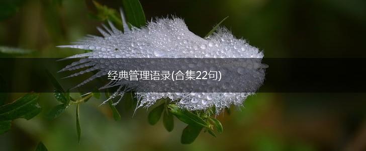 经典管理语录(合集22句),第1张