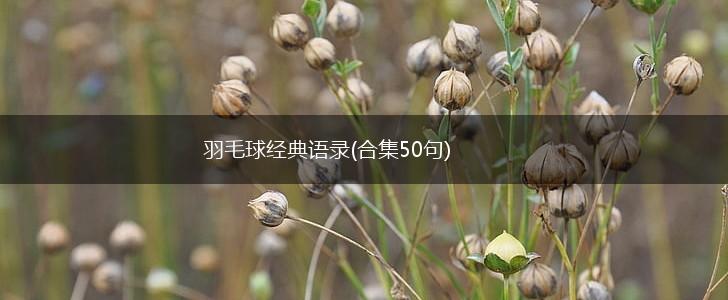 羽毛球经典语录(合集50句),第1张